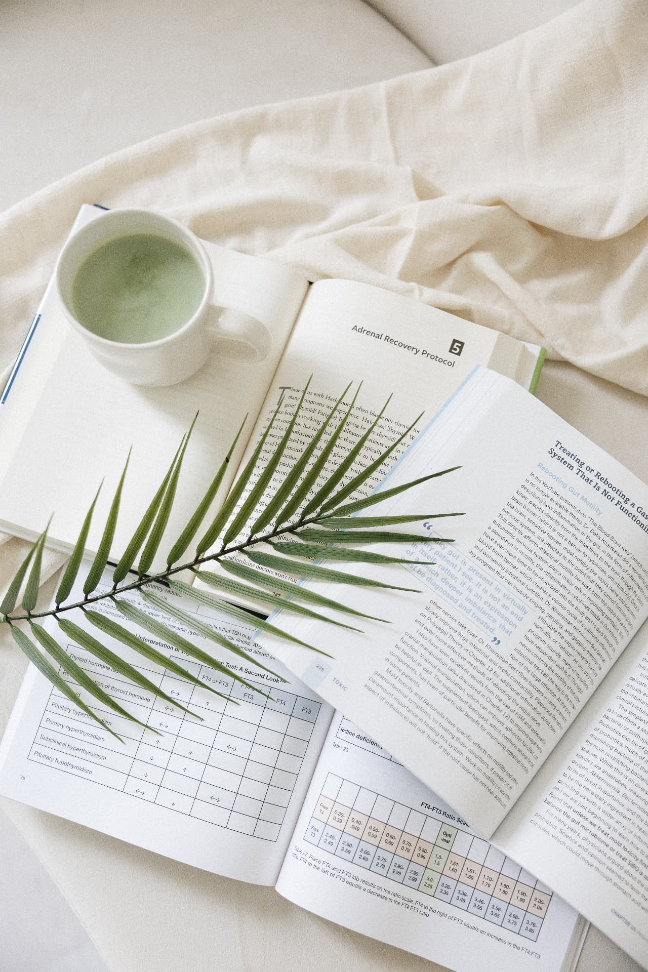 An open functional medicine textbook with matcha and a palm frond on linen
